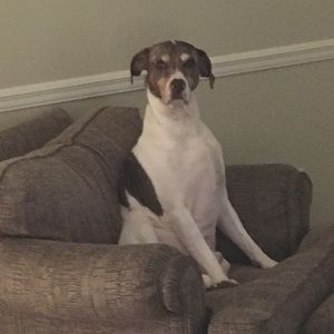 Meet your Posher, Mary shannon